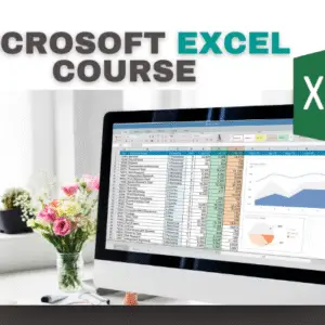 microsof excel course
