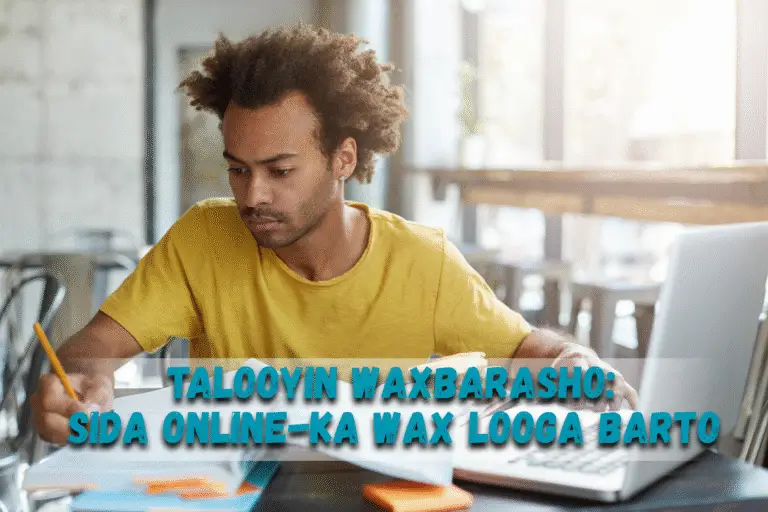 Talooyin Waxbarasho: Sida Online-ka Wax Looga Barto